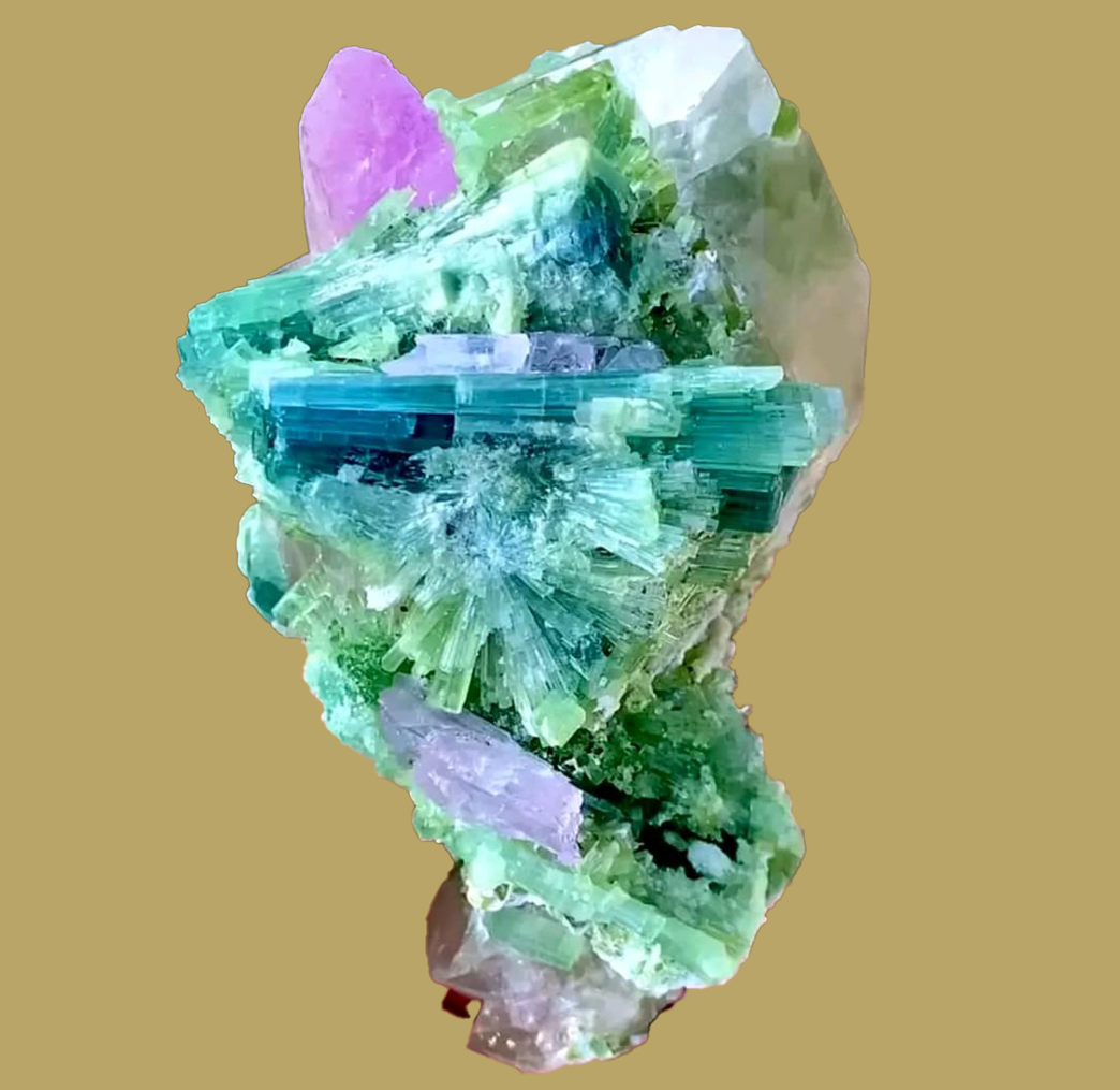 6